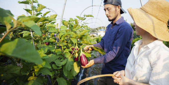 47都道府県から1名ずつ職人募集。木桶・木樽の存続をかけた挑戦